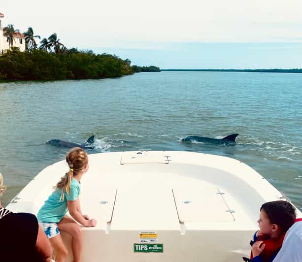 Marco Island: Private Shelling & Dolphin Excursion - Starting Point Near Goodland Marina