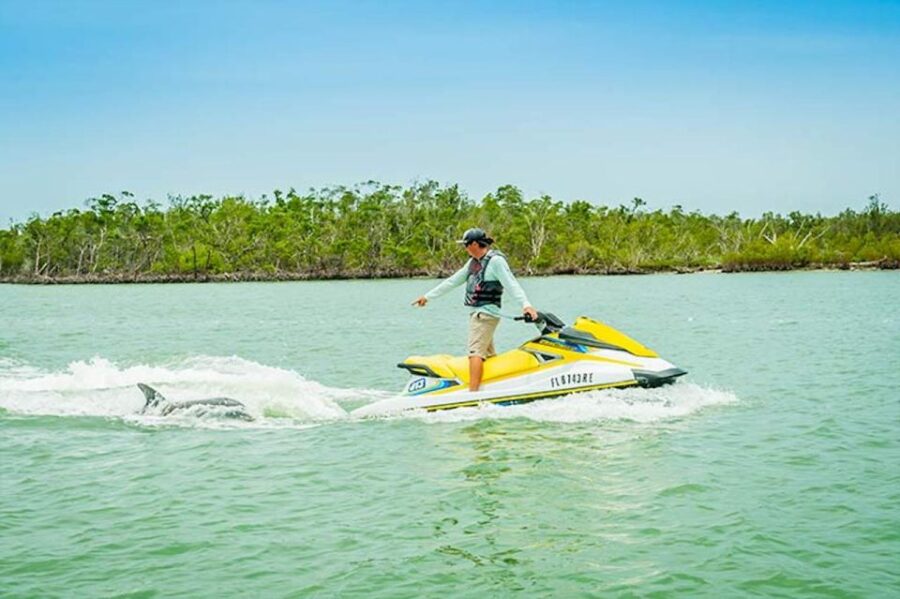 Marco Island: Ten Thousand Island Jet Ski Guided Tour - Wildlife Encounters: Dolphins, Manatees, and Birds