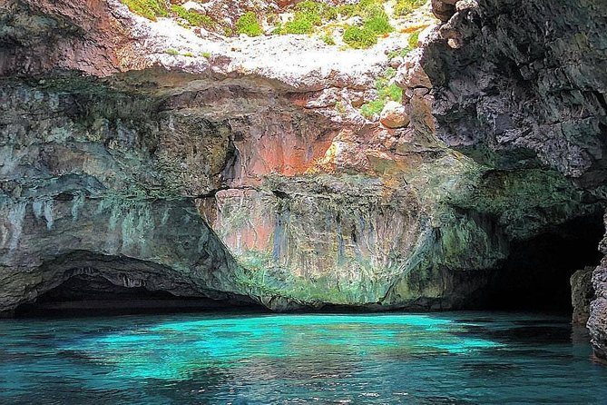 Marettimo Sea Caves Boat Tour - Secluded Coves: Cala Bianca, Finocchio Marino, and Cala Conca