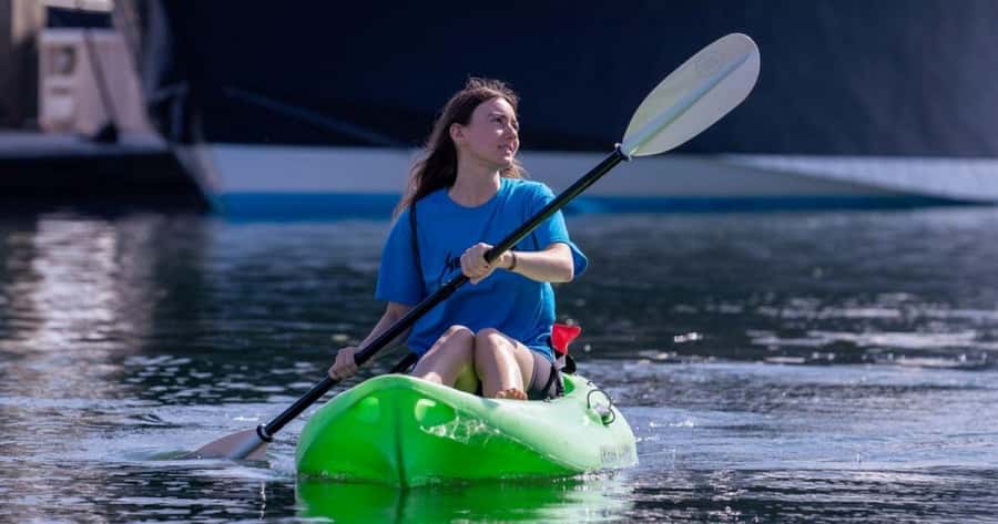 Marina del Rey: Guided Kayak & Paddleboard Tour - Wildlife Encounters: Sea Lions, Turtles, and Dolphins