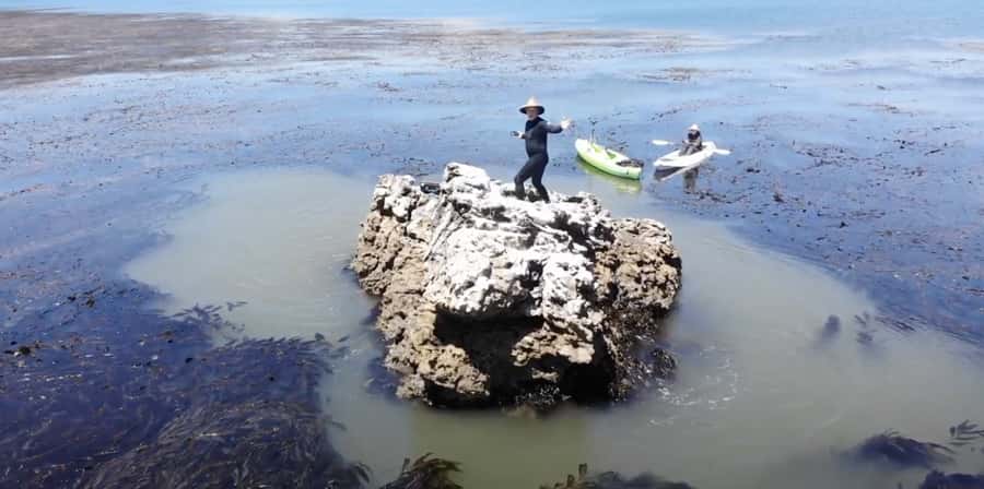 Marina Way: Kayaking Adventure with TV Star Gary Golding - Discovering the Secluded Coves of California