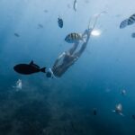 Marine Wildlife Snorkel Tour: SeaTiger Shipwreck & Sharks - The SeaTiger Shipwreck: A Hidden Underwater Treasure