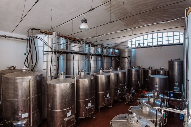 Marsala Tasting of 5 Sicilian organic wines - The Guided Tour of Baglio Diar’s Cellar and History