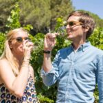 Marseille Highlights & Wine tasting Day tour - Visiting Marseille’s Old Port and Fish Market