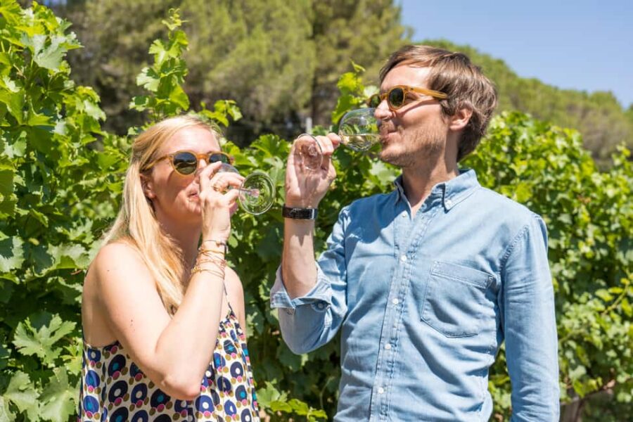 Marseille Highlights & Wine tasting Day tour - Visiting Marseille’s Old Port and Fish Market