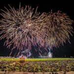 Martha's Vineyard: All Island Tour - The Unique Benefit of Step-Off Stops