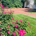 Marthas Vineyard Luxury Tour (2hrs) - Starting Point at Martha’s Vineyard’s Steamship Authority Terminal