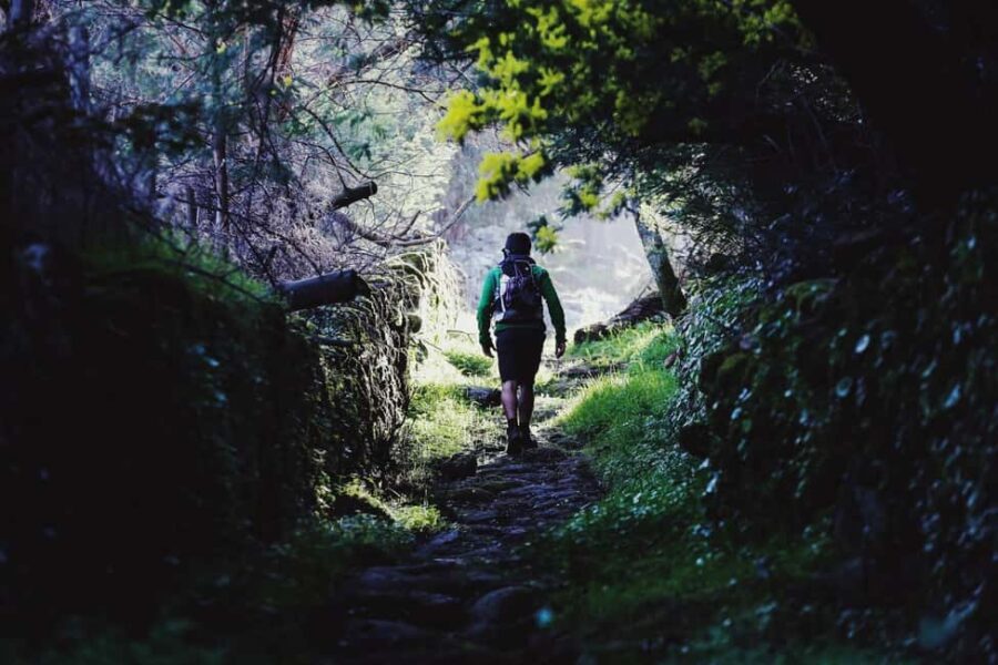 Marvão: Smuggling Trail Guided Hike with Olive Oil Tasting - Visiting Fontanheira and Its Return Route
