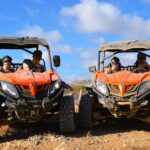 Masca Valley Adventure Guided Buggy Tour - Starting from Guia de Isora to the Scenic Drive through Santiago del Teide