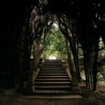 Mateus Palace - In the Footsteps of Wine History - Exploring the 16th-Century Wine Cellar and Tasting Experience