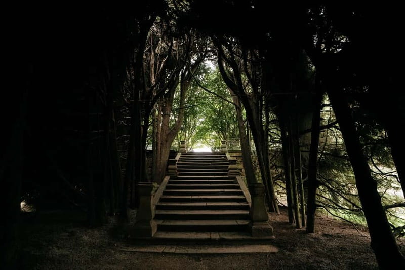 Mateus Palace - In the Footsteps of Wine History - Exploring the 16th-Century Wine Cellar and Tasting Experience