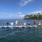 Maui: Beginner Level Private Stand-Up Paddleboard Lesson - Meeting Point at Polo Beach: Easy Access and Comfort