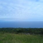 Maui: East Side Hiking Tour - Meeting point and transportation arrangements in Wailea