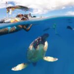Maui Eco Raft: Turtle Snorkel + Whale Watch(Semi-Private) - Departing from Lahaina and Meeting Details