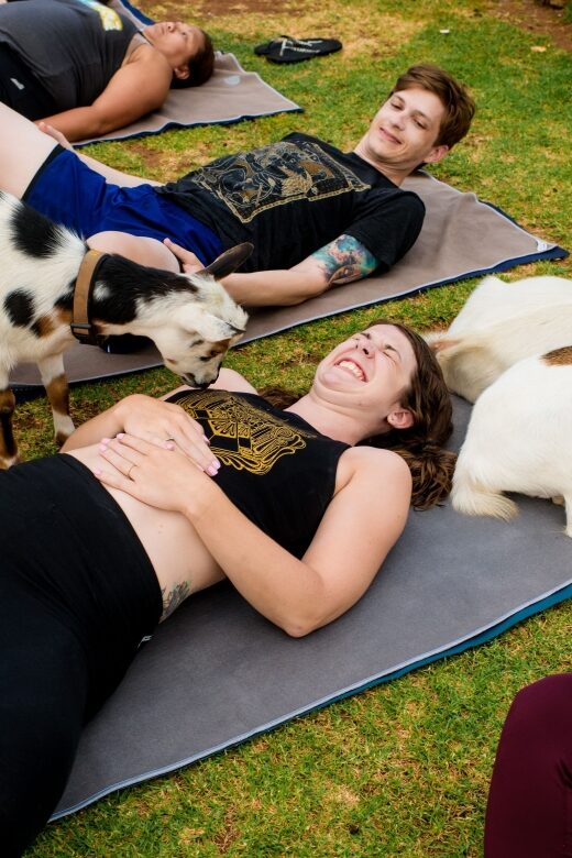 Maui Goat Yoga with Miniature Goats - Starting the Maui Goat Yoga Experience