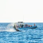 Maui: Guided Whale Watching Tour on Eco Raft - From Lahaina to Whale Hotspots in Maui