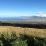 Maui Haleakala Sunrise Downhill Bike Tour with Mountain Riders Rated #1 - Exact Timing and Meeting Arrangements