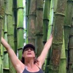 Maui Magical Waterfall and Jungle Tour: Road to Hana - Visiting Hookipa Beach Park for Wildlife Encounters