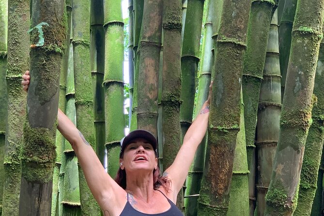 Maui Magical Waterfall and Jungle Tour: Road to Hana - Visiting Hookipa Beach Park for Wildlife Encounters