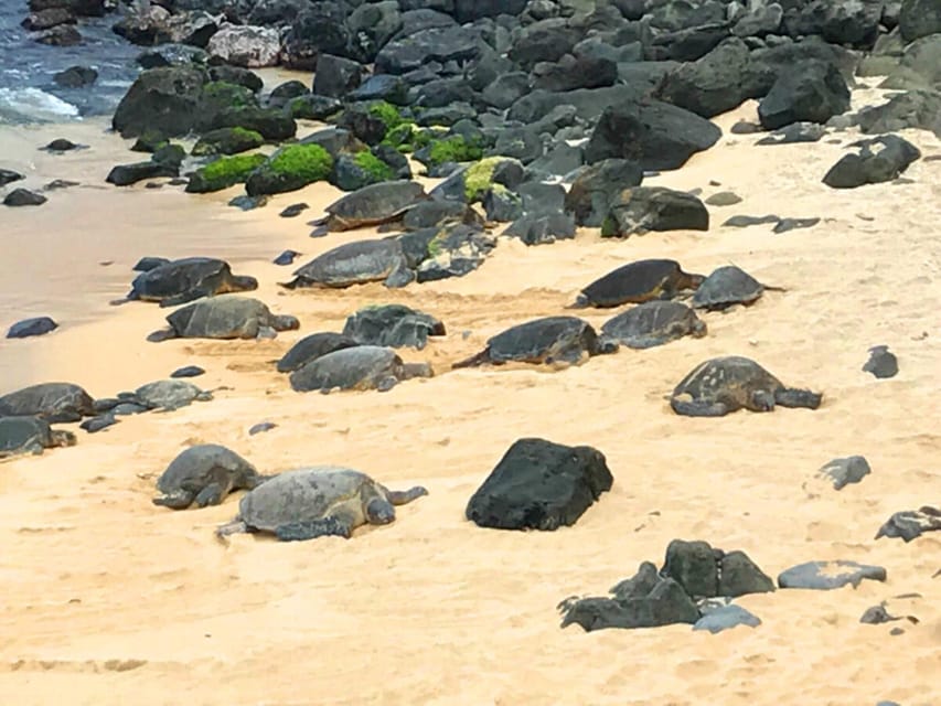 Maui: Private Halfway to Hana Tour - Starting at Maui’s North Shore with Hookipa Beach