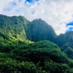 Maui: Private Valley Isle Customized Tour - The Flexibility of a Custom Day on Maui