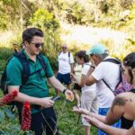 Maui: Rainforest Waterfalls Guided Hike with Picnic Lunch - Private Waterfalls Access and Scenic Swimming Opportunities