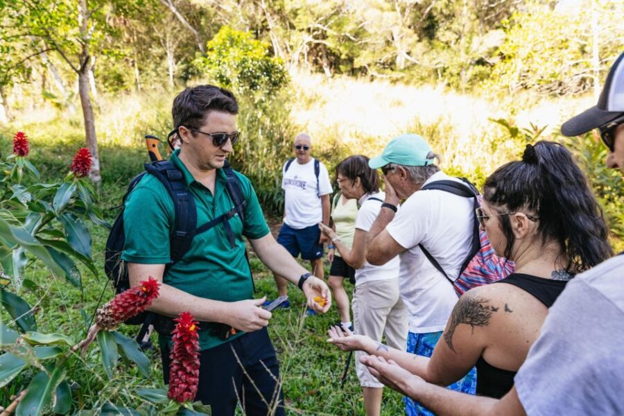 Maui: Rainforest Waterfalls Guided Hike with Picnic Lunch - Private Waterfalls Access and Scenic Swimming Opportunities