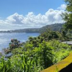 Maui: Road to Hana Private Adventure Tour with Luxury SUV - Luxury SUV with Panoramic Glass Sunroof for Scenic Viewing