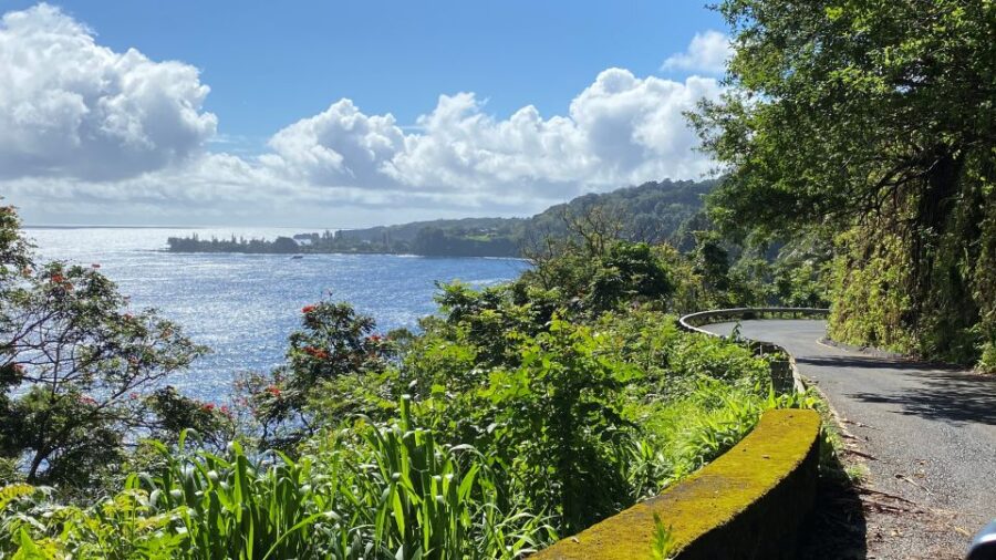 Maui: Road to Hana Private Adventure Tour with Luxury SUV - Luxury SUV with Panoramic Glass Sunroof for Scenic Viewing