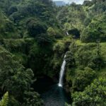 Maui Sea Turtles & Waterfalls: Full-Day Road to Hana Tour - Scenic Stops at Maui’s Most Beautiful Beaches and Waterfalls