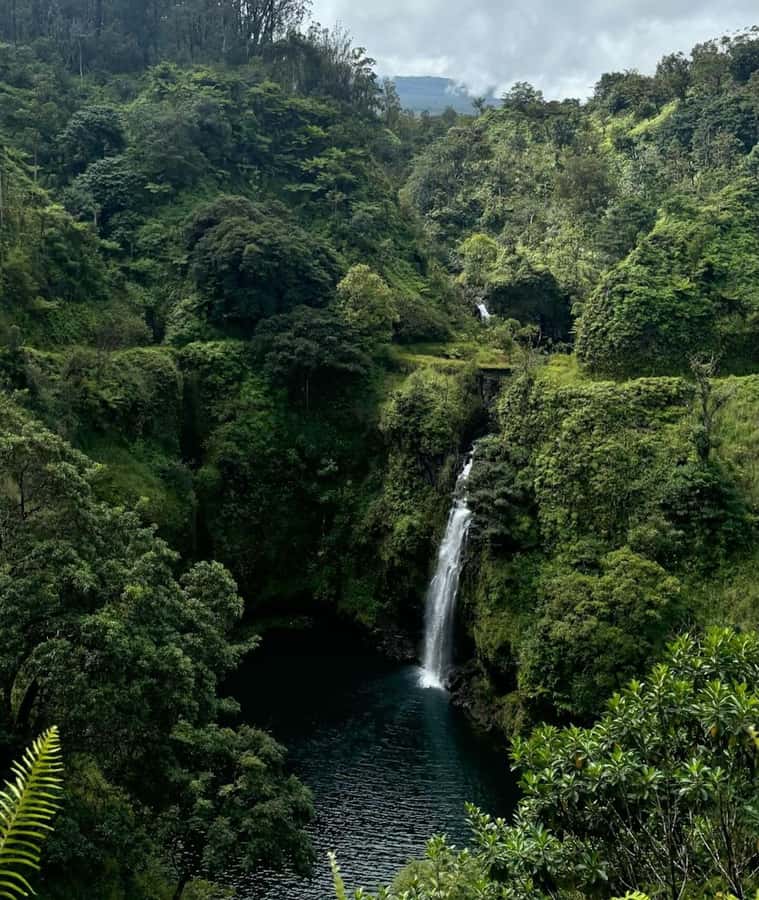 Maui Sea Turtles & Waterfalls: Full-Day Road to Hana Tour - Scenic Stops at Maui’s Most Beautiful Beaches and Waterfalls