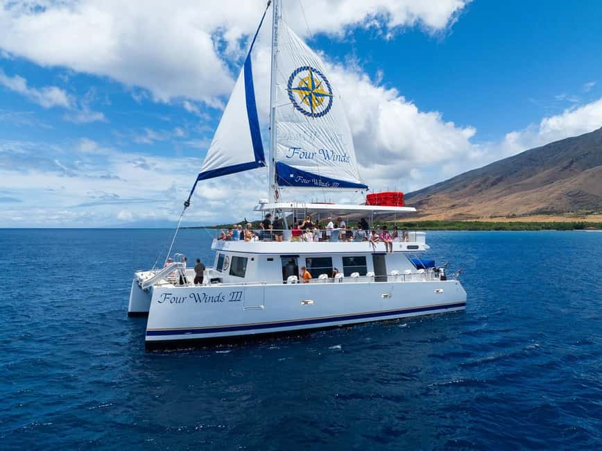 Maui: Snorkel Tour to Coral Gardens - Fun Features: Waterslide, Sea Boards, and Glass Bottom Viewing