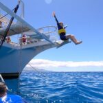 Maui Snorkeling Molokini Crater and Turtle Town - Turtle Town: A Sanctuary for Hawaiian Green Sea Turtles