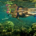 Maui South Shore Premier Kayak and Snorkel Tour from Makena Beach - The Marine Life Encounters: Turtles, Fish, and Reef Structures