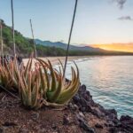 Maui: Stand-Up Paddleboard Rental - What Types of Boards Are Offered?