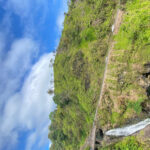 Maui: Van Day Trip to Hana with Local Guide and Lunch - Meet Your Guide: A Hana Native with Deep Local Knowledge