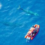 Maui Whale-Watching Tour by Raft from Kihei - The Small-Group Raft Experience: Why It Matters