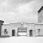 Mauthausen private tour from Linz - Luxurious Transportation for a Respectful Journey