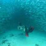 Mayan Adventure from Playa del Carmen - Starting Point and Transportation Logistics in Cancun