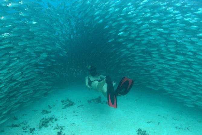 Mayan Adventure from Playa del Carmen - Starting Point and Transportation Logistics in Cancun