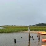 Mayflower Trolley Tour! - The Historic Library and the Creation of the Seashore