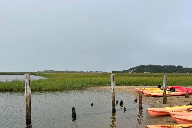 Mayflower Trolley Tour! - The Historic Library and the Creation of the Seashore