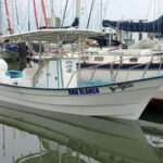 Mazatlan 3 Islands Snorkeling and Bird Watching Tour - How the Tour Starts and What You Need to Know