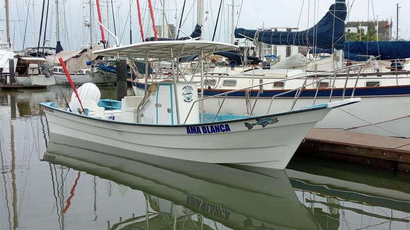 Mazatlan 3 Islands Snorkeling and Bird Watching Tour - How the Tour Starts and What You Need to Know