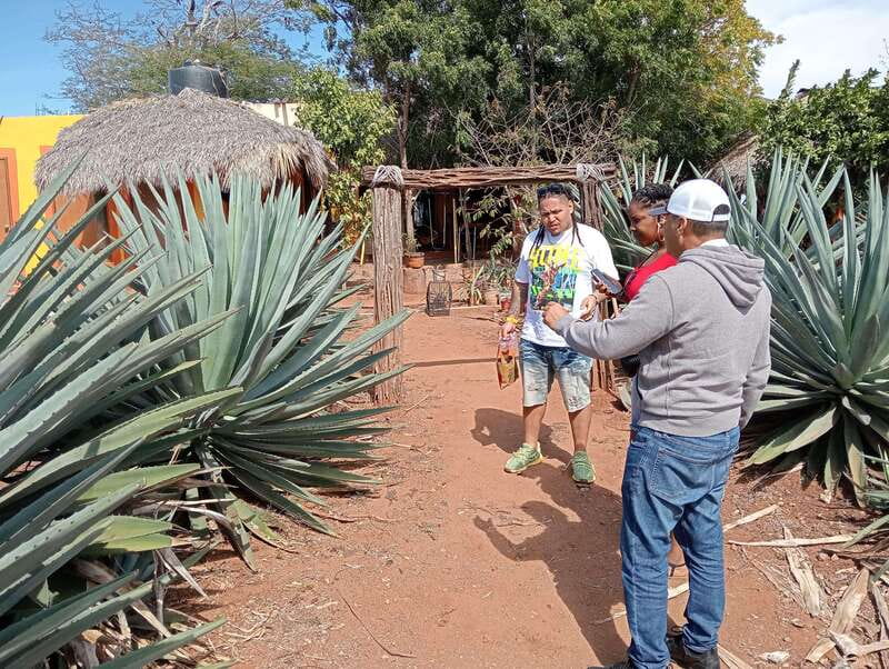 Mazatlan: Mezcal Factory Tour with Tasting and Lunch - Discover the Setting at Mr. Lionso Ranch in Sinaloa