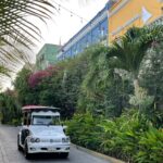 Mazatlan Pulmonia Experience - Exploring Mazatláns Iconic Oceanfront: Malecón de Mazatlán