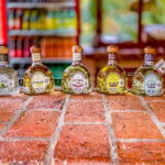 Mazatlán: Tequila Factory & Country Sightseeing - Starting Point and Pickup Details in Mazatlán
