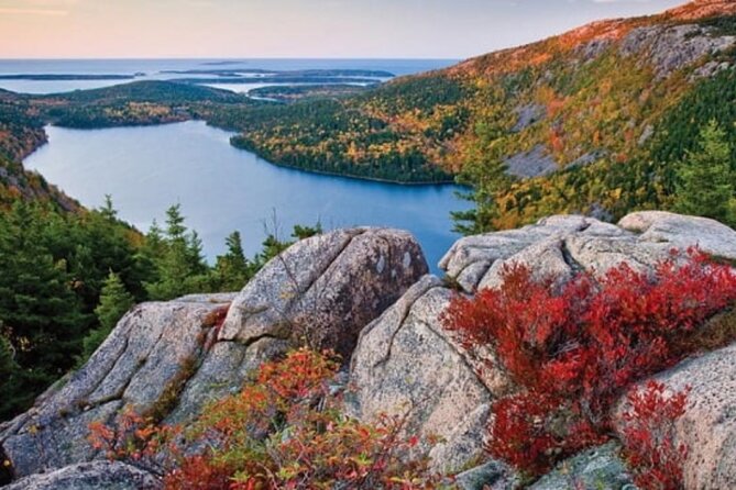 MDI Private Discovery Tour - Explore Beyond Acadia (five hours) - The Stops: From Cadillac Mountain to Otter Cliff
