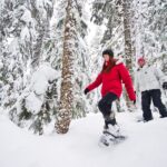 Medicine Trail Snowshoe Tour - Sampling Medicinal Plants and Teas in the Forest