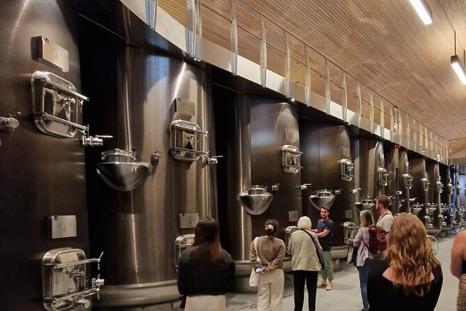 Medoc Afternoon Wine Tour - 2 Wineries, tastings & delicacies - The Tour Starts at Bordeaux’s Tourist Office